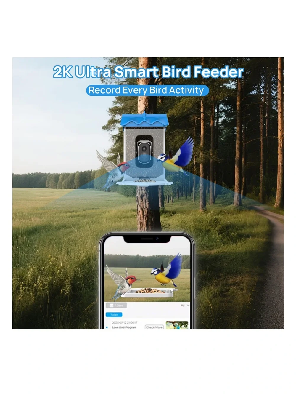 NWT Beuteka Smart AI Birdfeeder w/ Camera and Solar Power